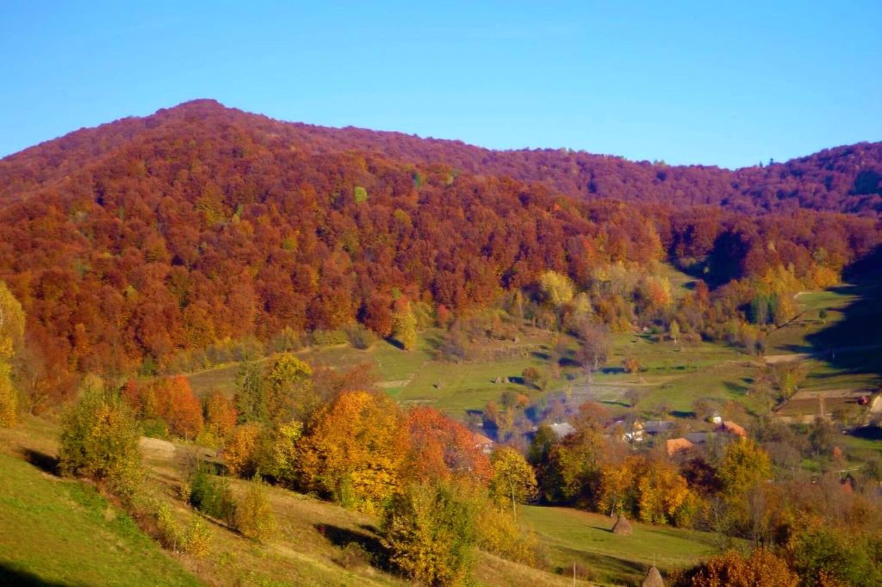 Село Біласовиця