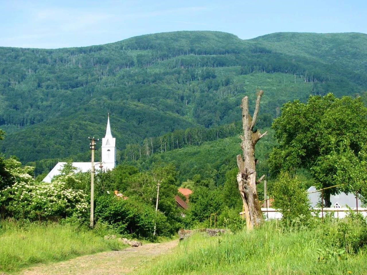 Syniak village