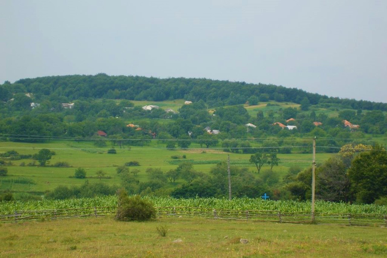 Suskovo village