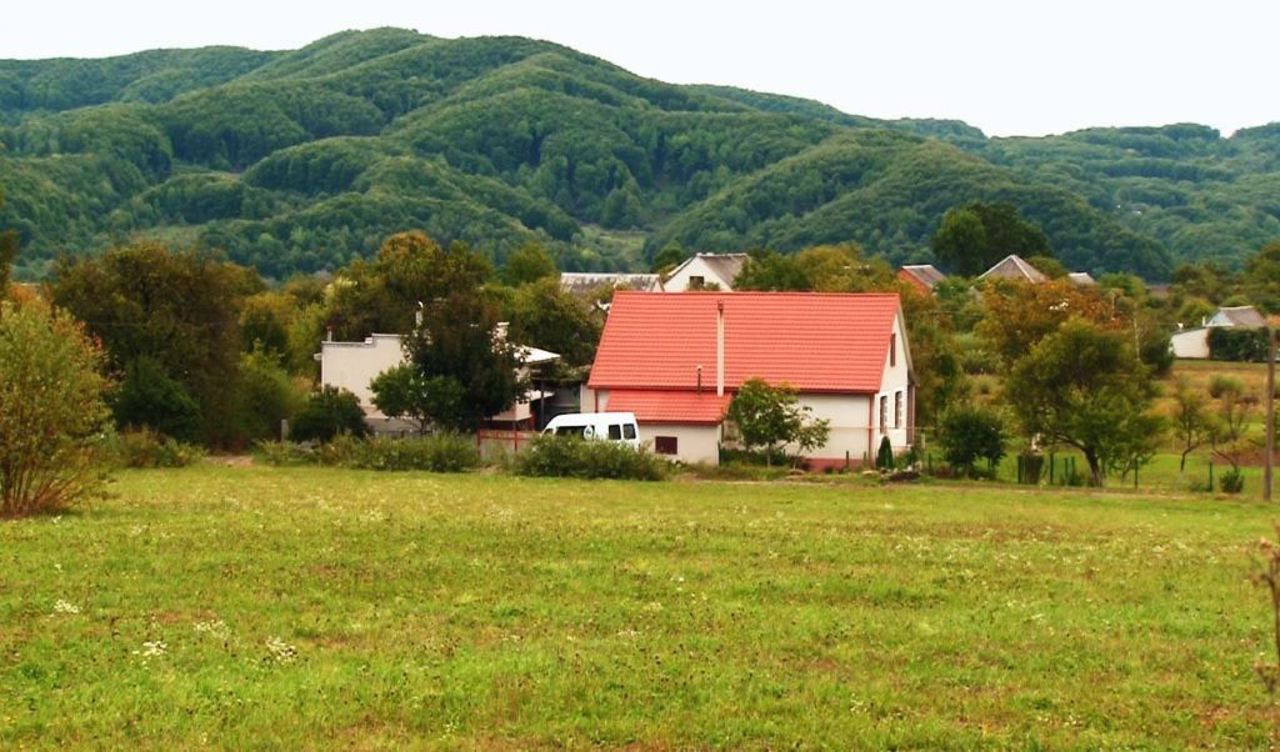 Nyzhnie Selyshche Village