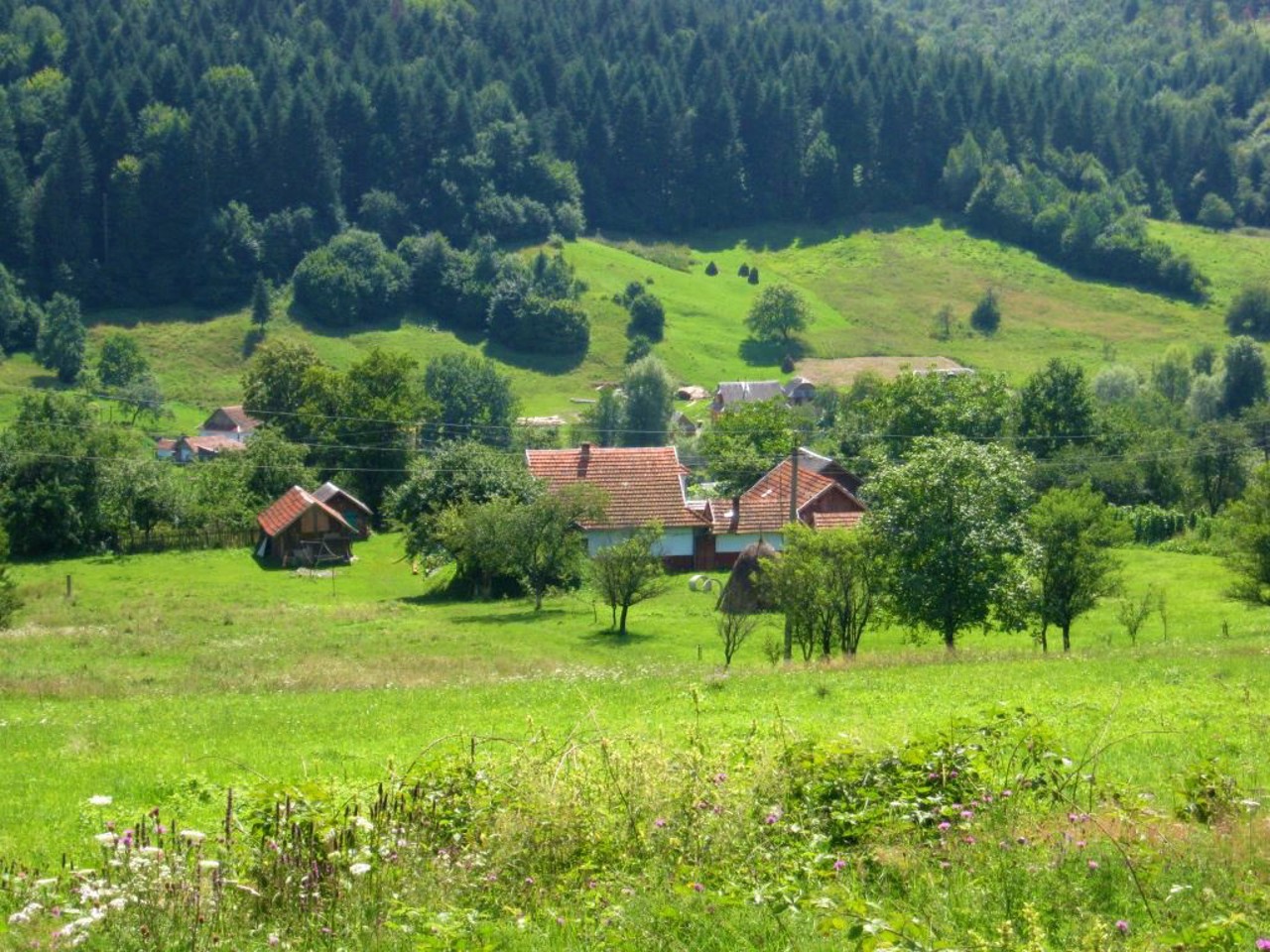 Knyazhdvir village