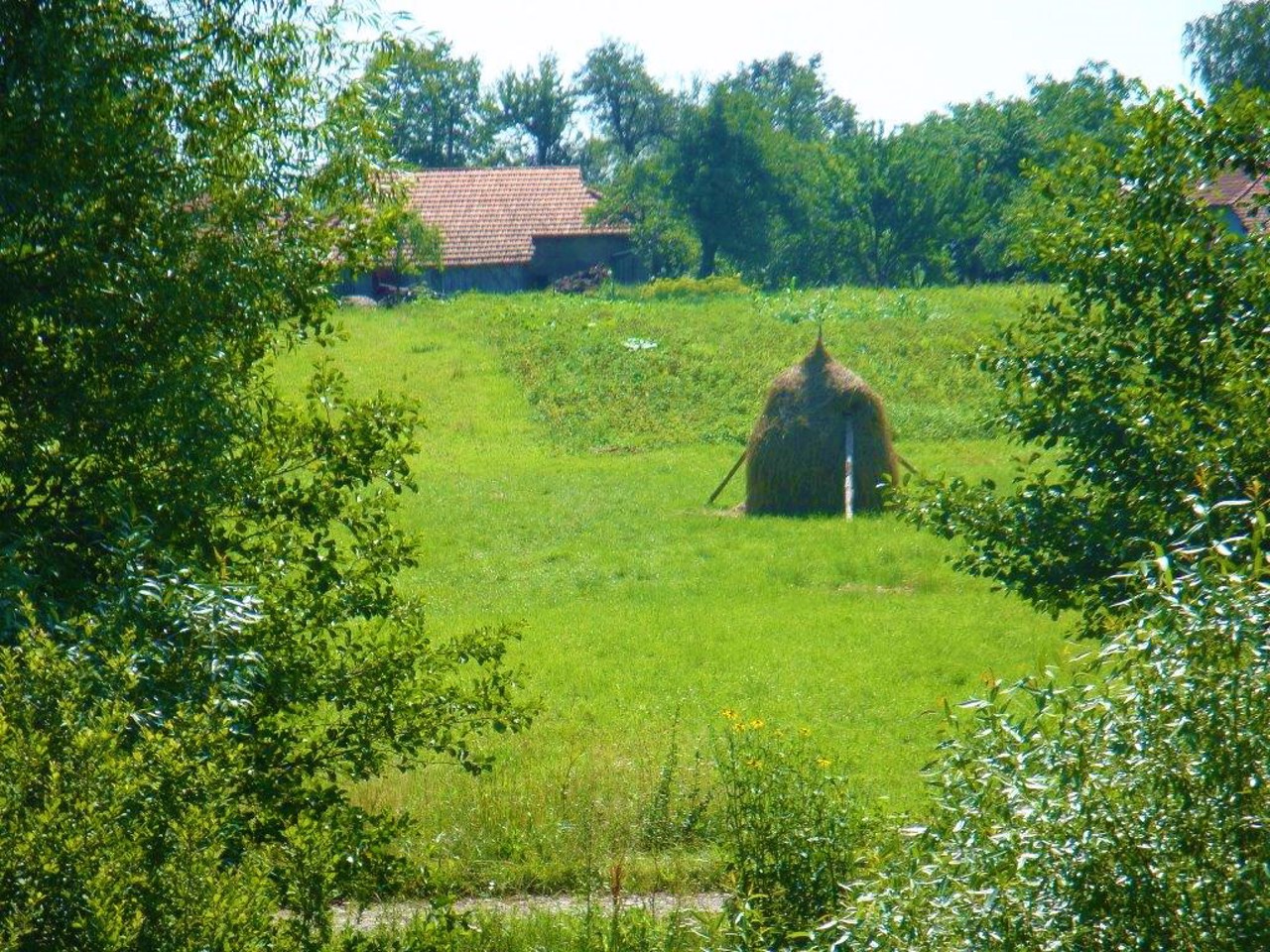 Lisna Slobidka village