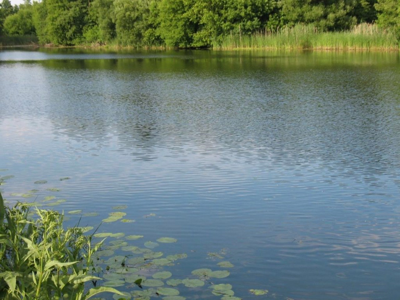 Село Климентове