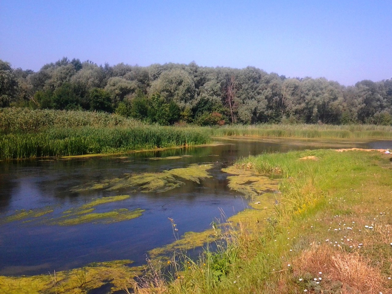 Луганська область