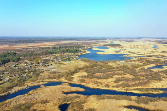 Volyn region