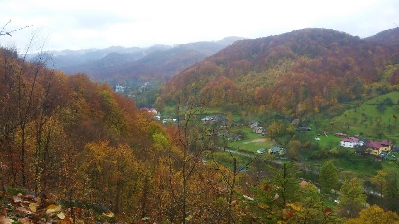 Село Виженка