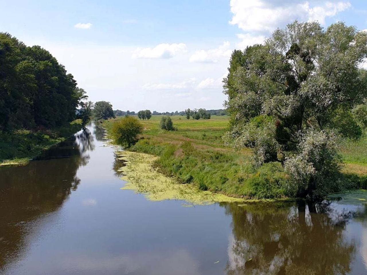 Дніпропетровська область