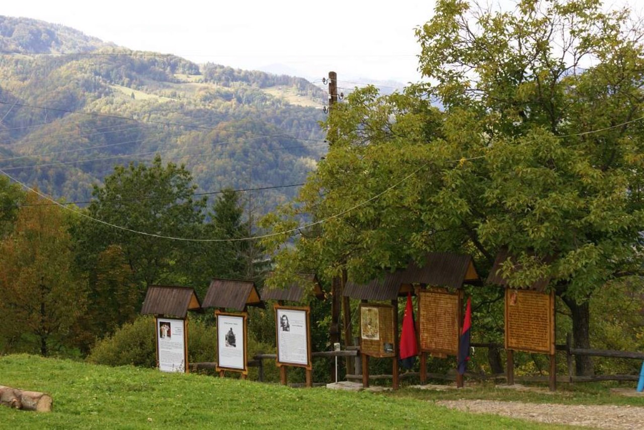 Vyzhenka village