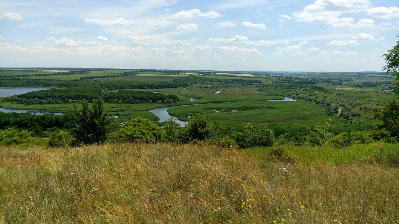 Donetsk region