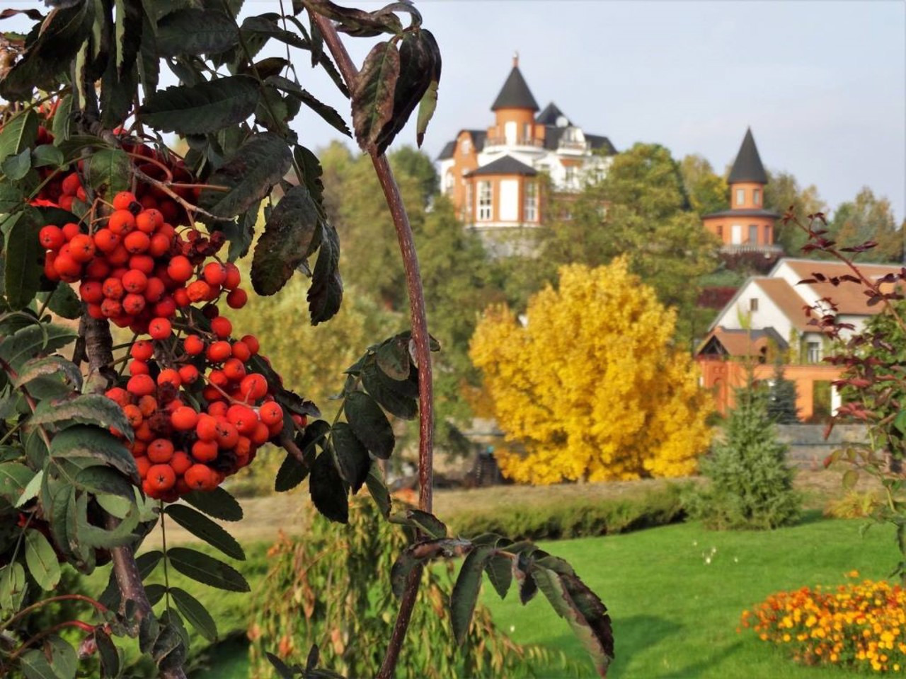 Село Буки, Киевская область