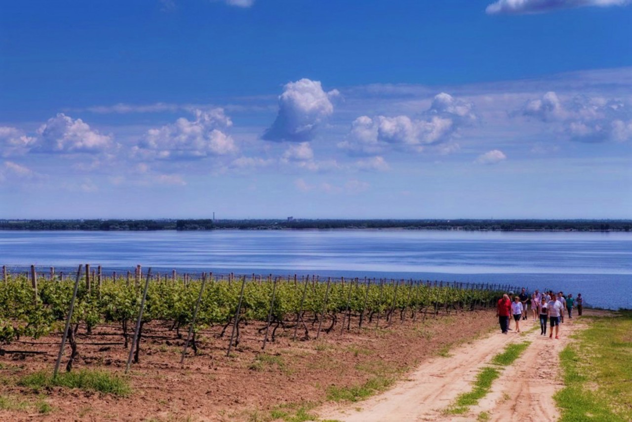 Vesele village, Nova Kakhovka