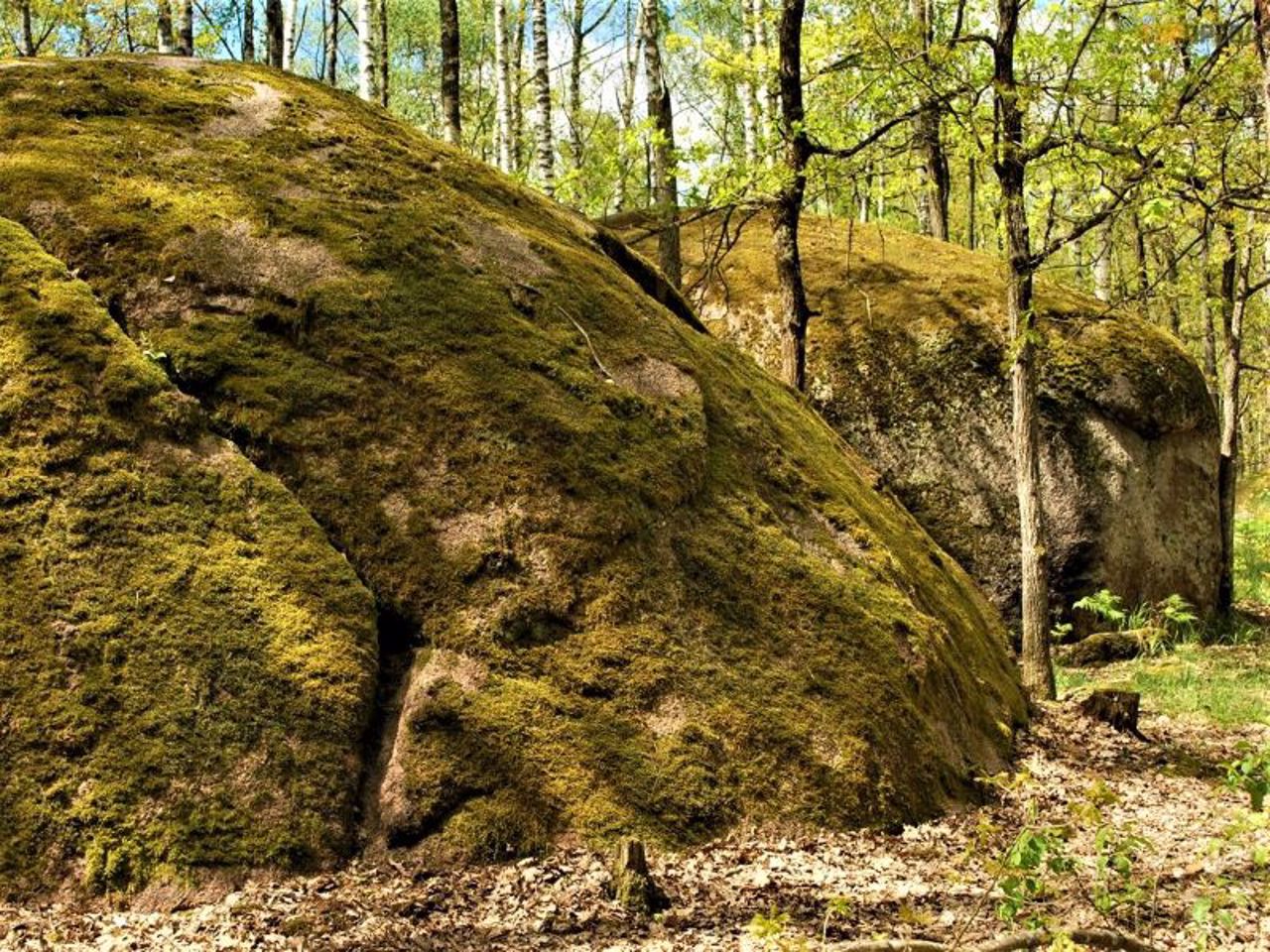 Село Рудня-Замысловичская