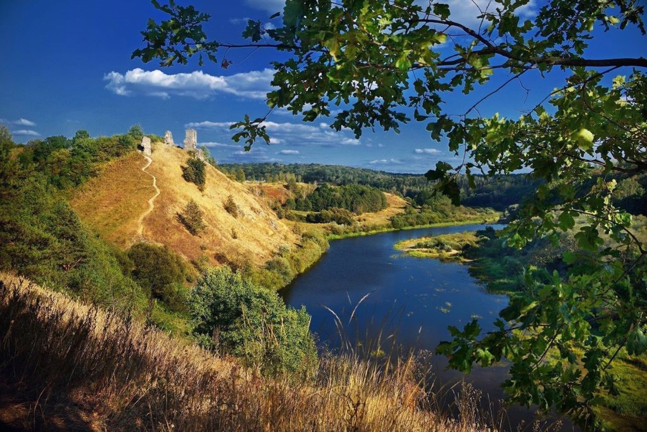 Село Губков