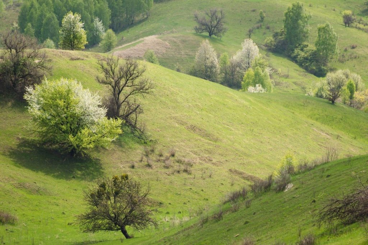 Село Трахтемирів