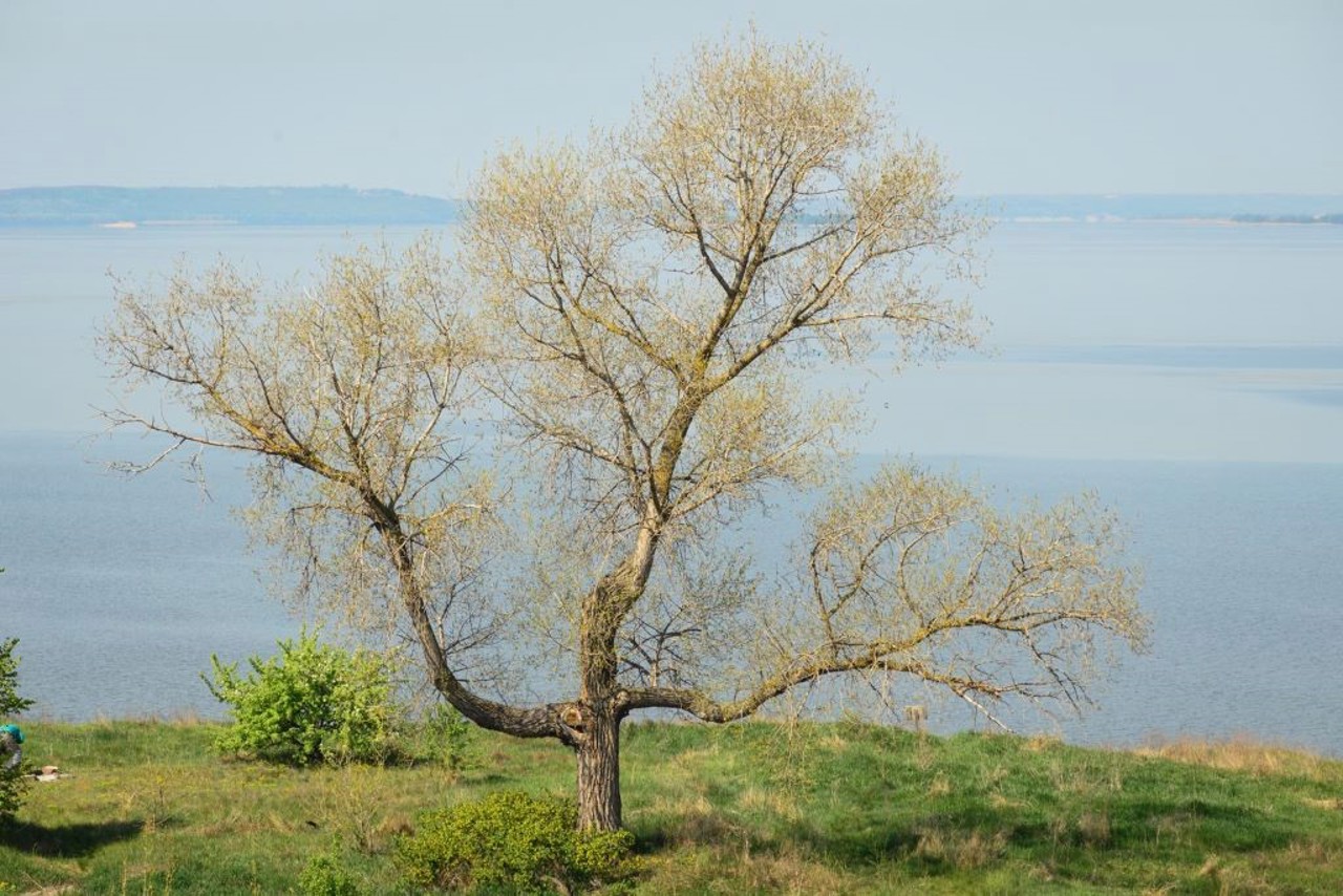 Село Трахтемирів