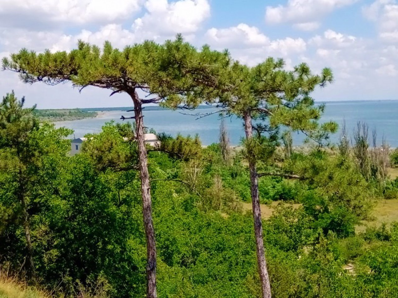 Bohatyr village, Zaporizhzhia region