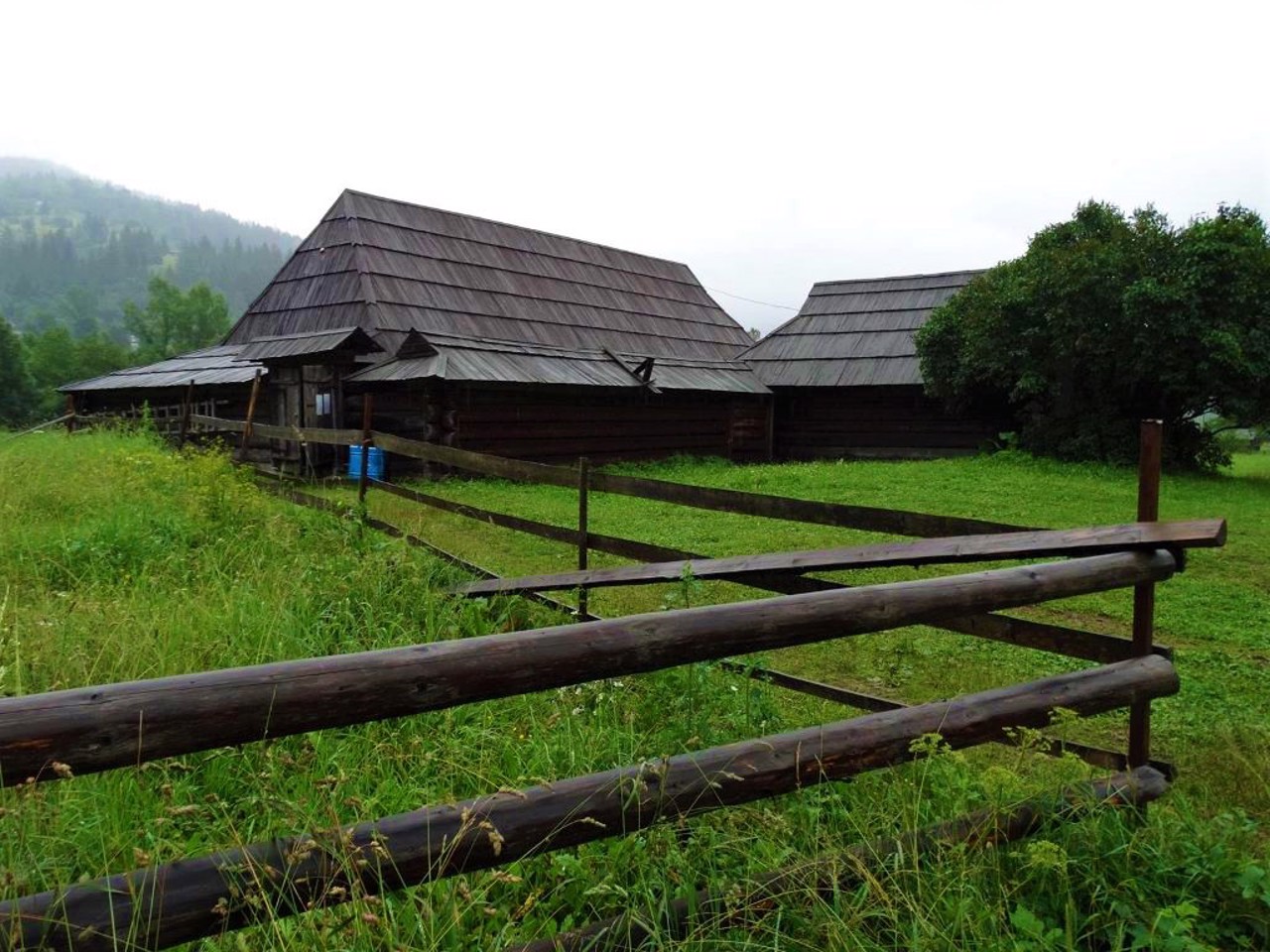 Kryvorivnia village