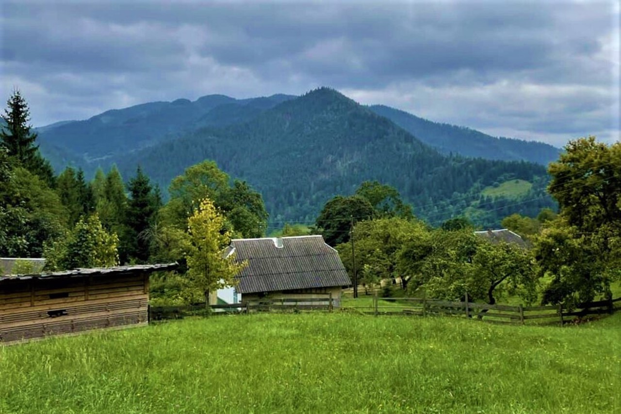 Kryvorivnia village