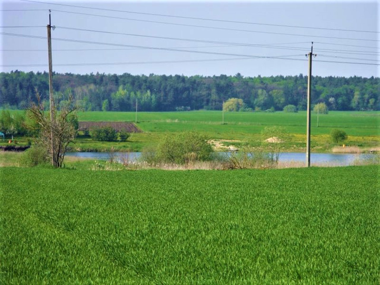 Село Усычи