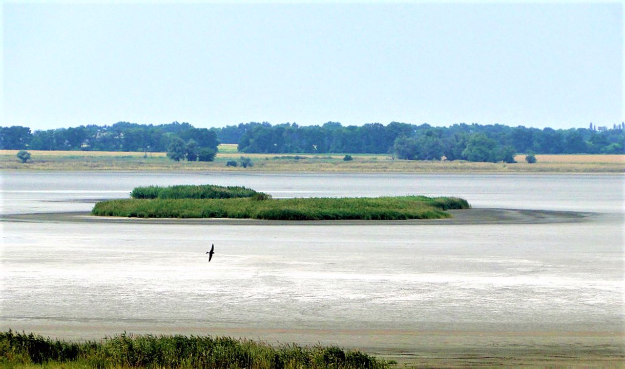 Село Новотроїцьке, Самарівський район