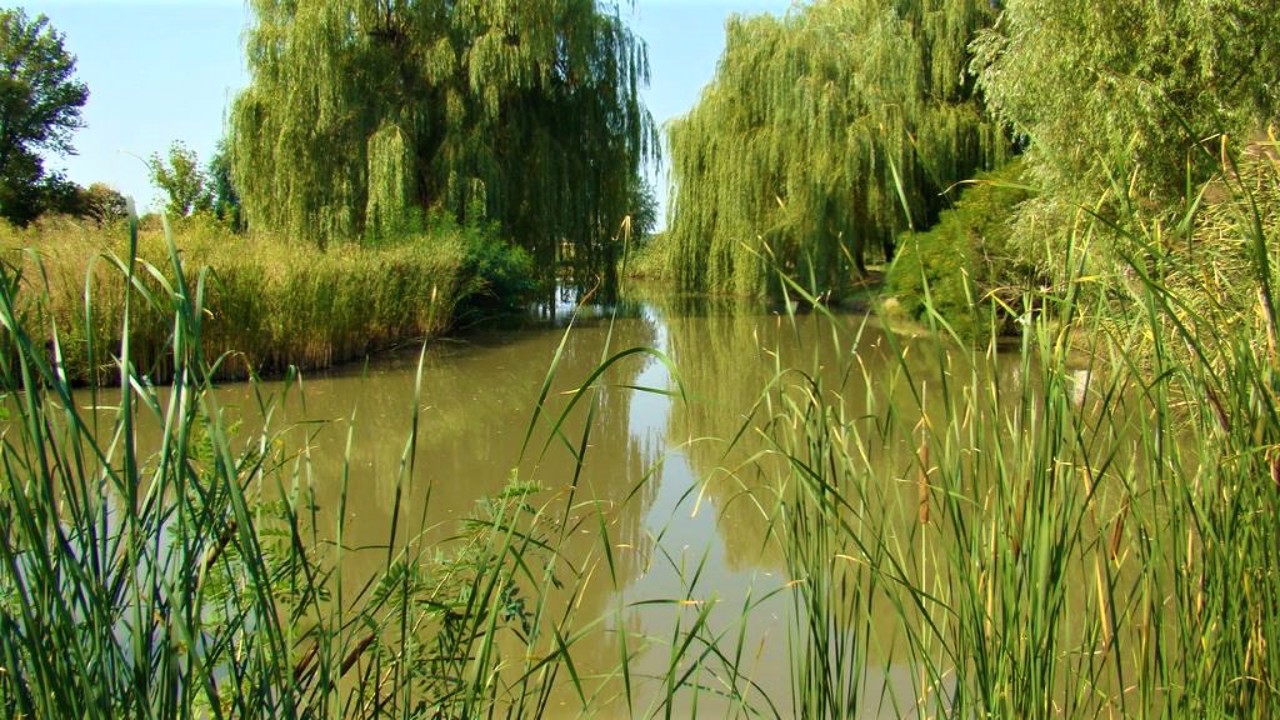 Novotroitske village, Novomoskovskiy district