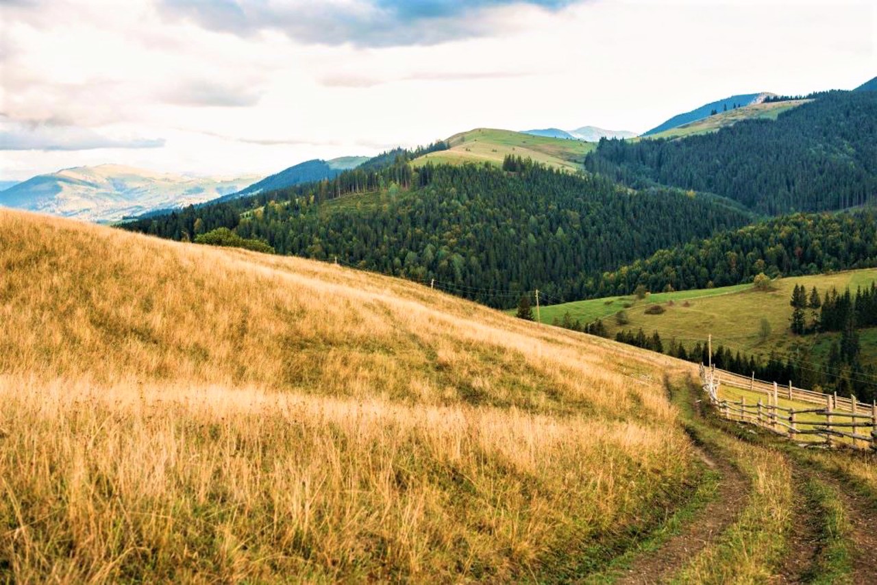 Село Кривопілля