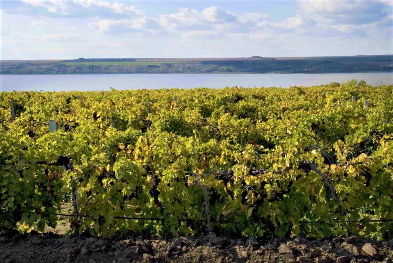 Село Криничне, Одеська область