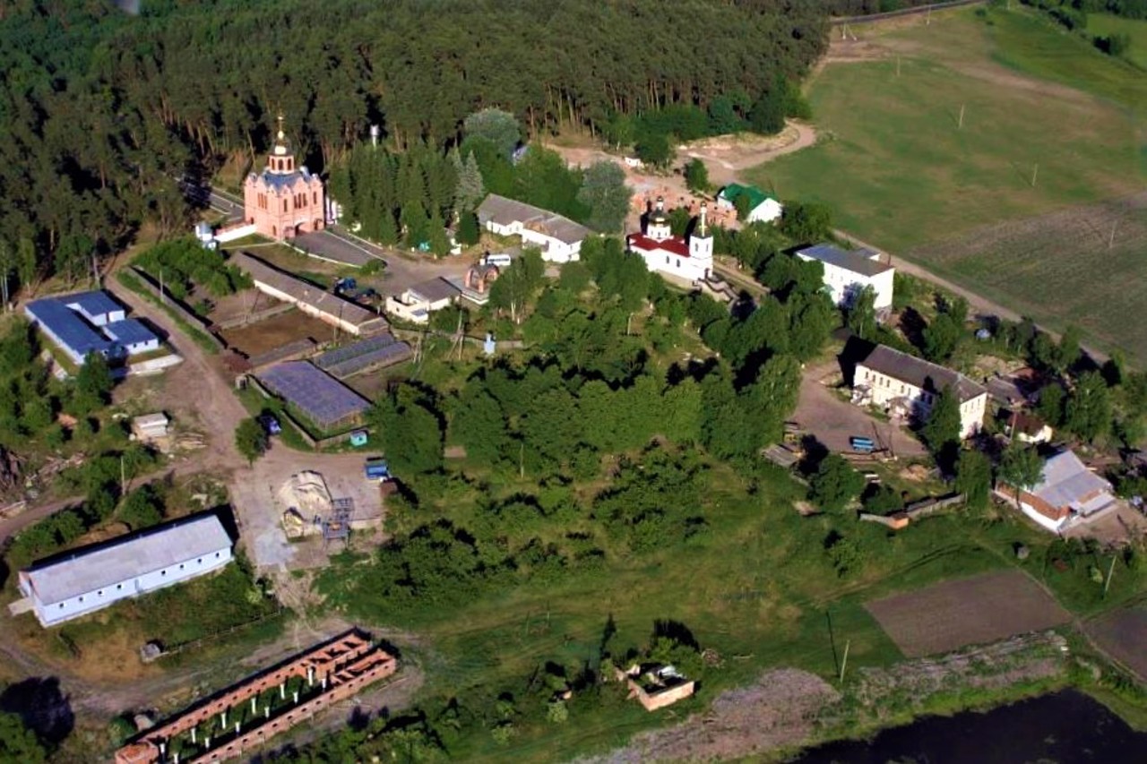 Sosnivka village, Shostkinsky district