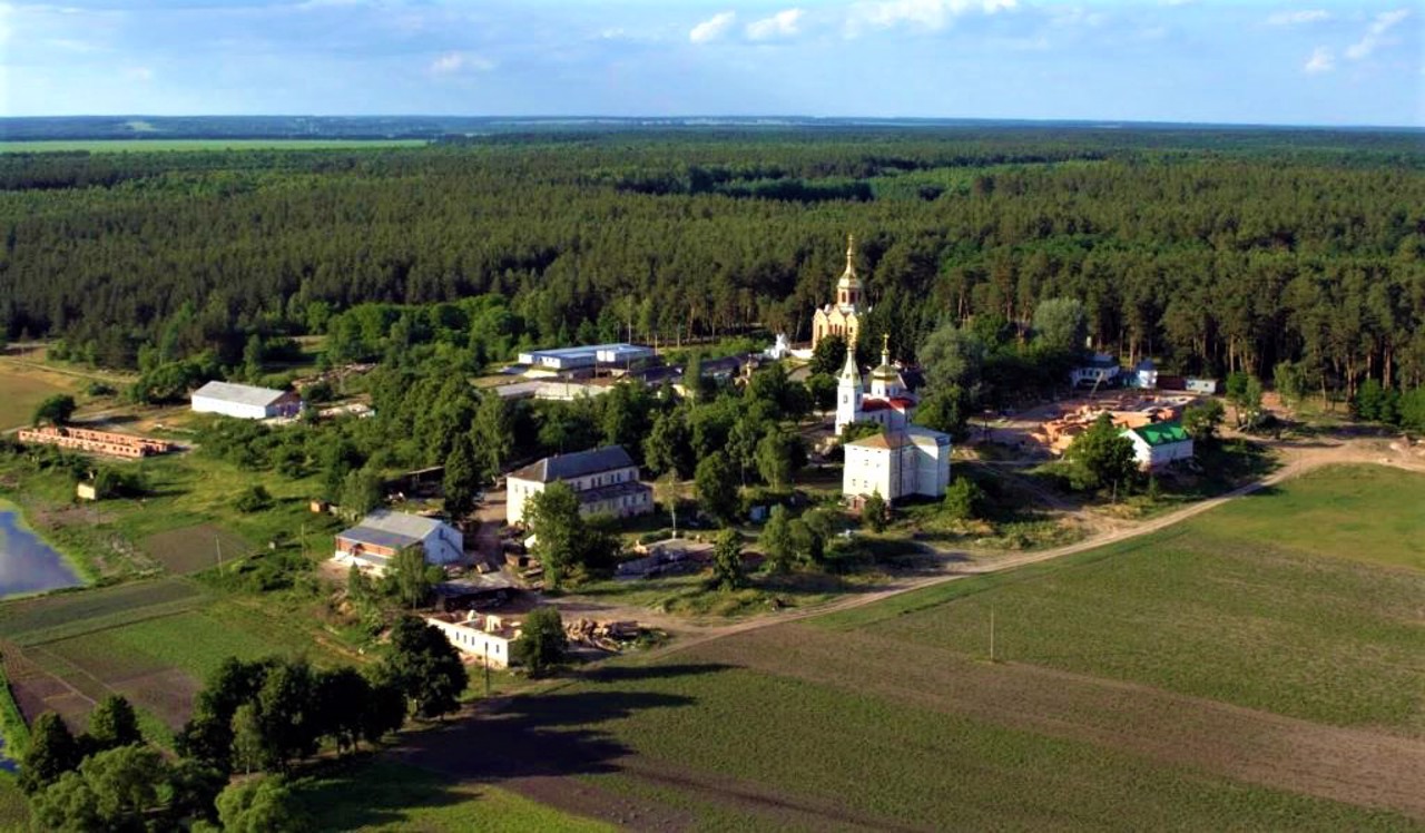 Sosnivka village, Shostkinsky district