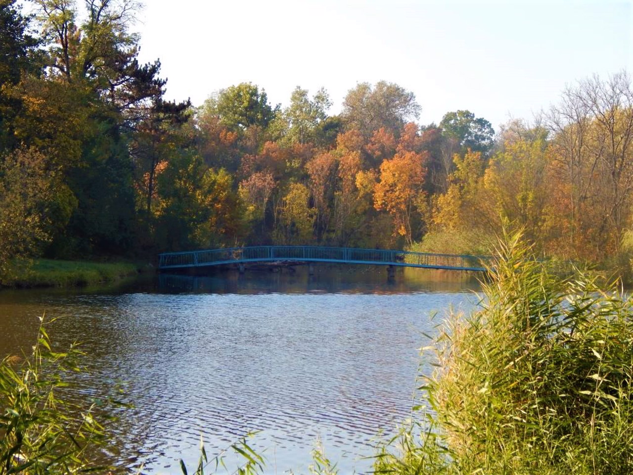 Село Веселі Боковеньки