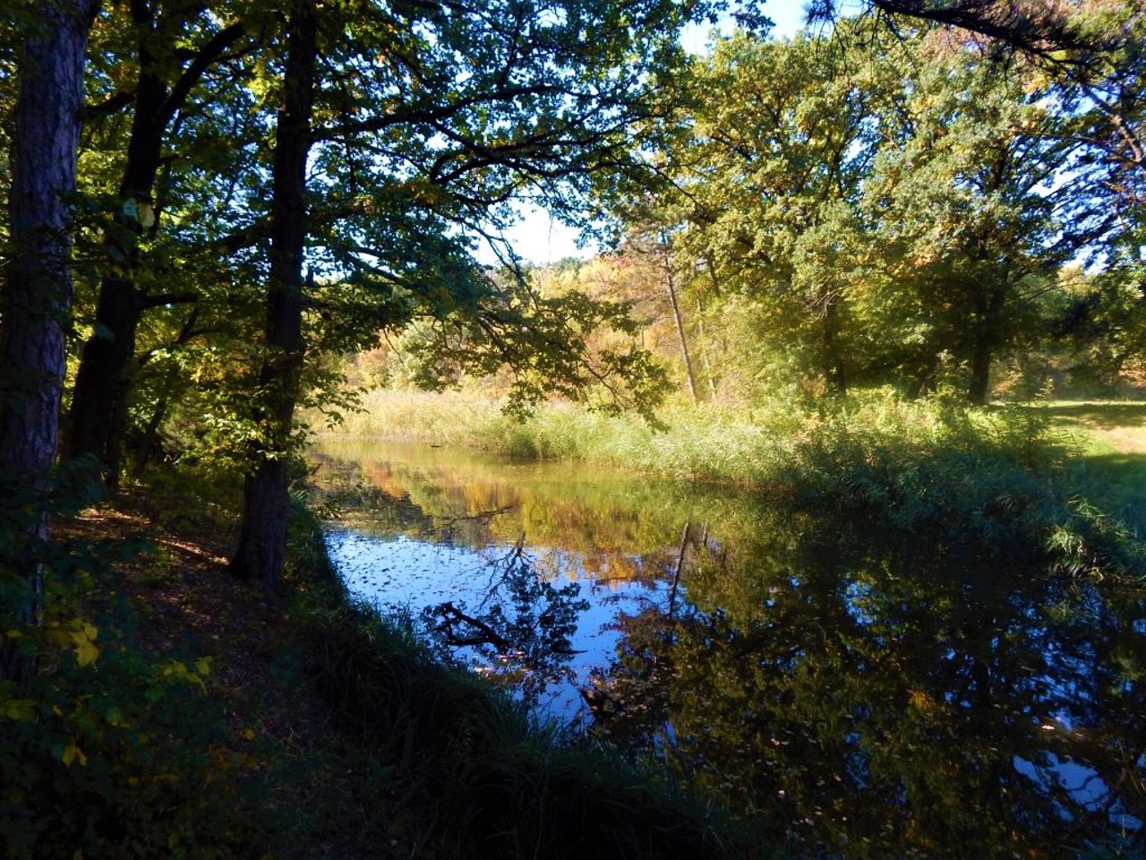 Село Веселые Боковеньки