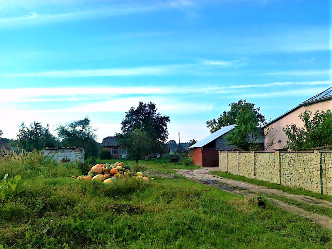 Novyi Vytkiv village