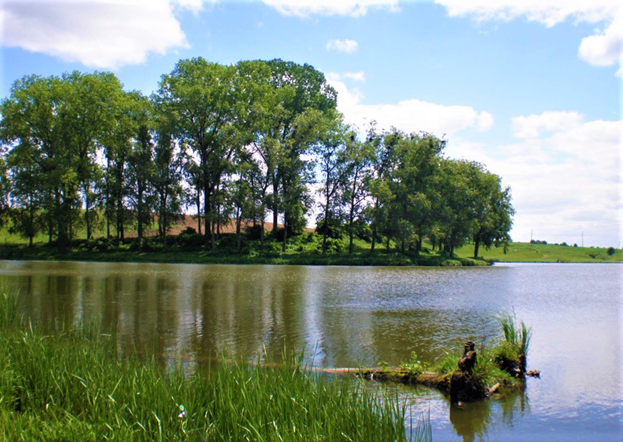 Село бабино. Село Бабин. Бабин Ровенская область. Ровно Украина пруд. Бабино пруд рыбалка.