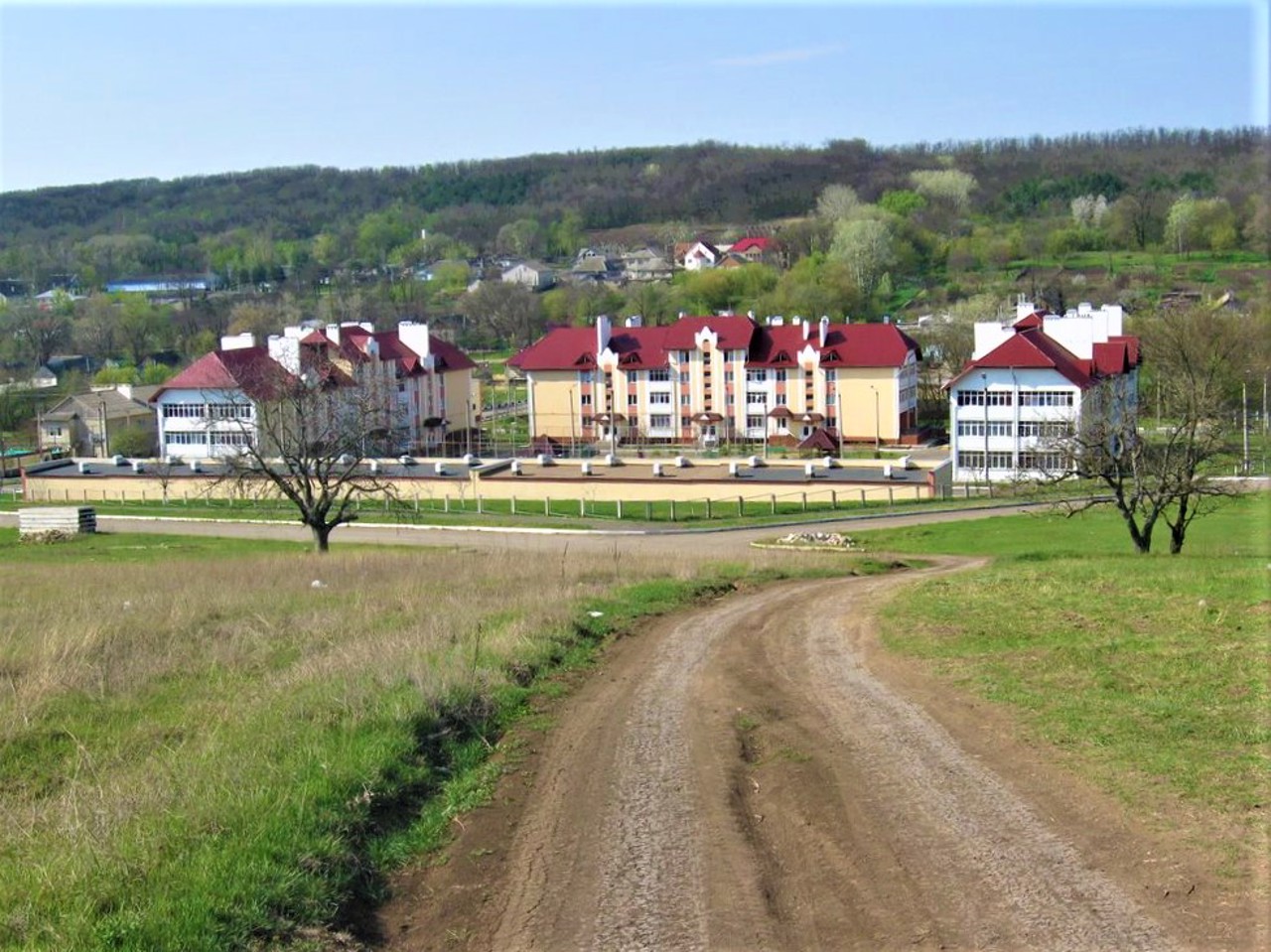 Tarutyne village
