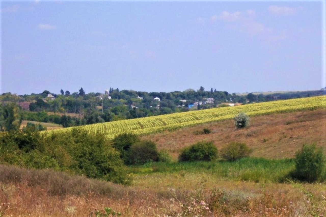 Zolotyi Kolodiaz Village