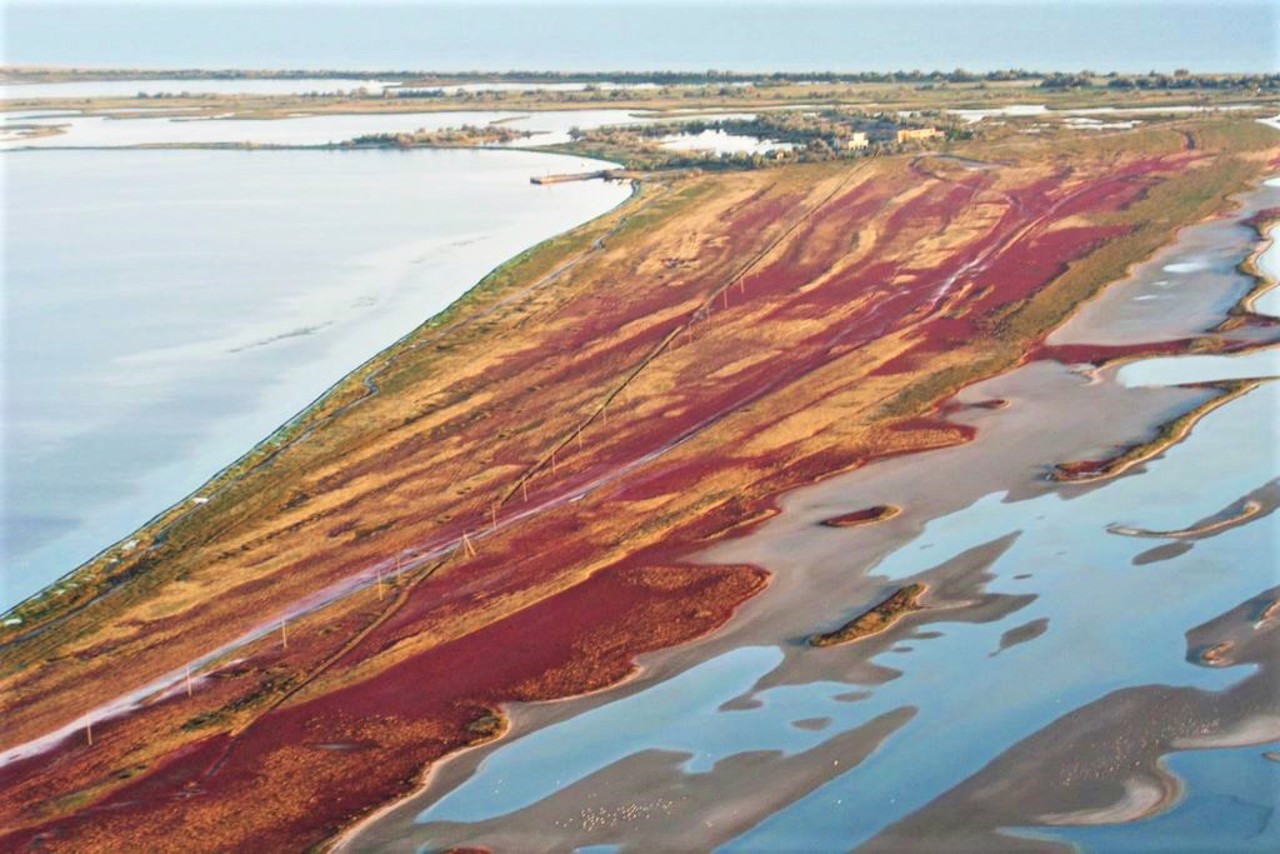 Pokrovske village, Kinburn spit