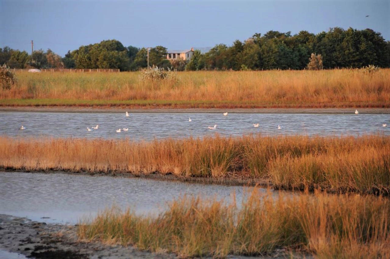 Pokrovske village, Kinburn spit