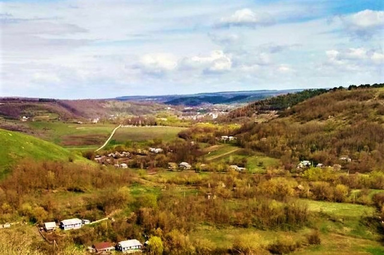 Mynkivtsi village, Kamianets-Podilskyi district
