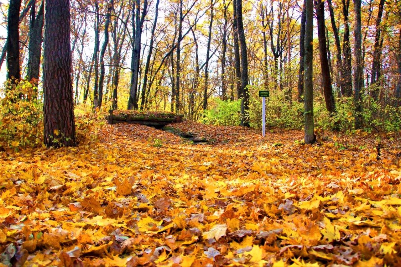 Село Кардаші, Путівльська громада