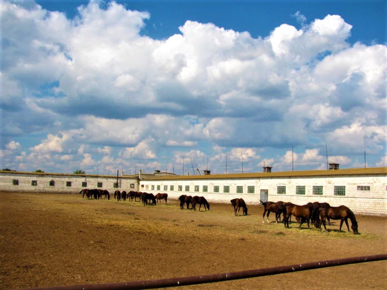 Danylivka village, Starobilskyi district