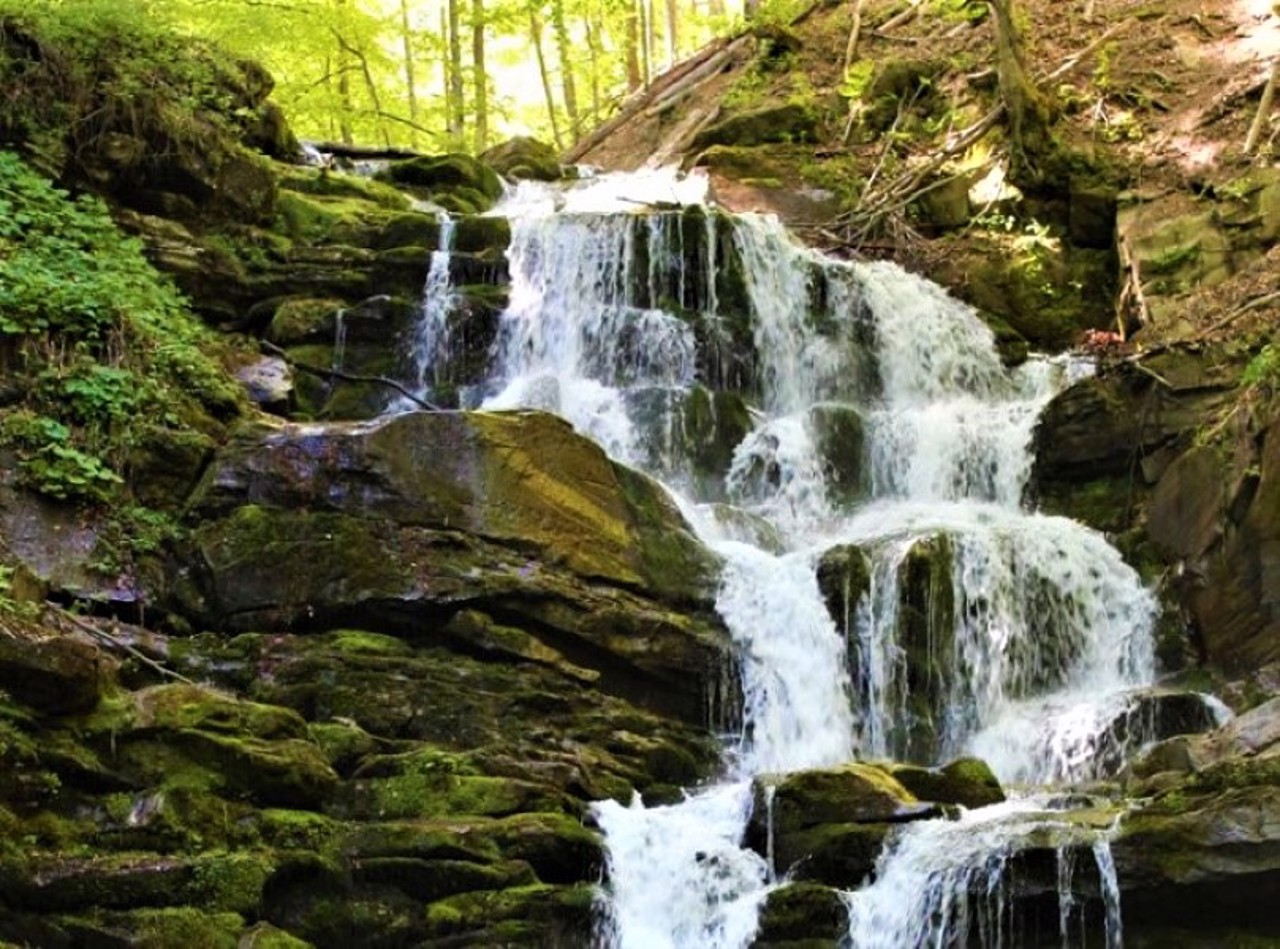 Село Розтоки, Буковина