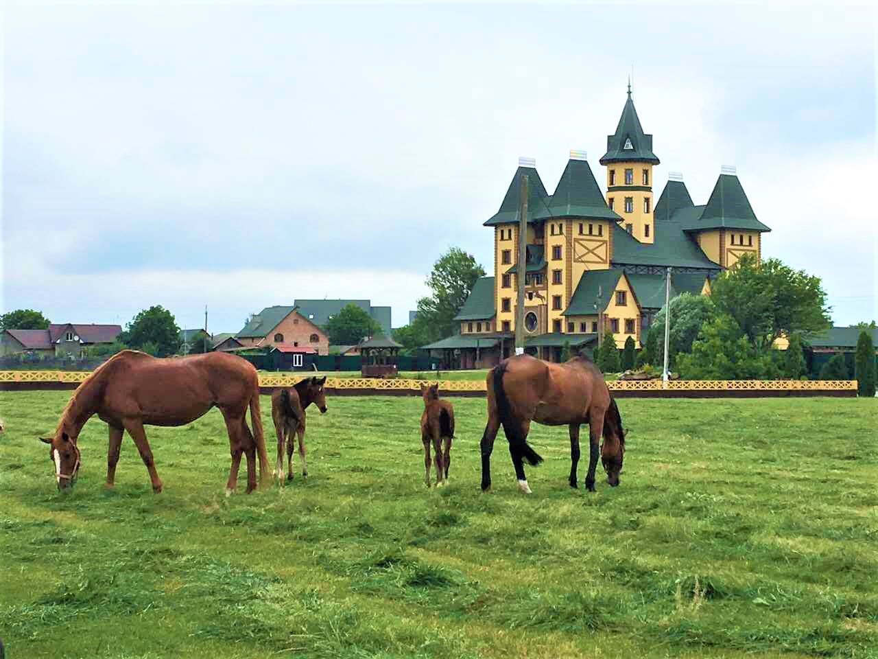 Revakivtsi village