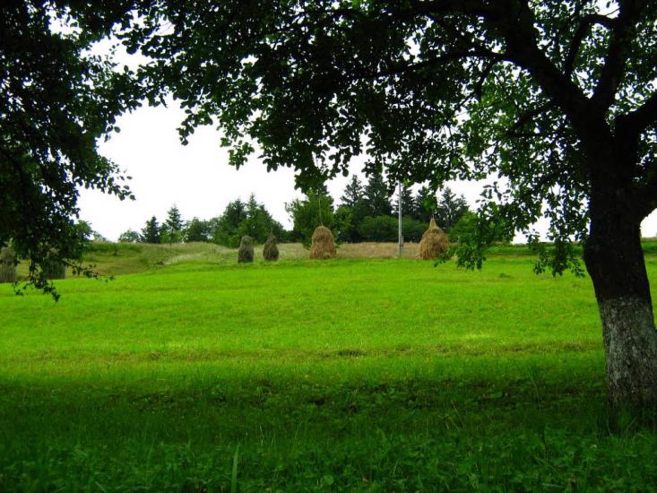 Torun village