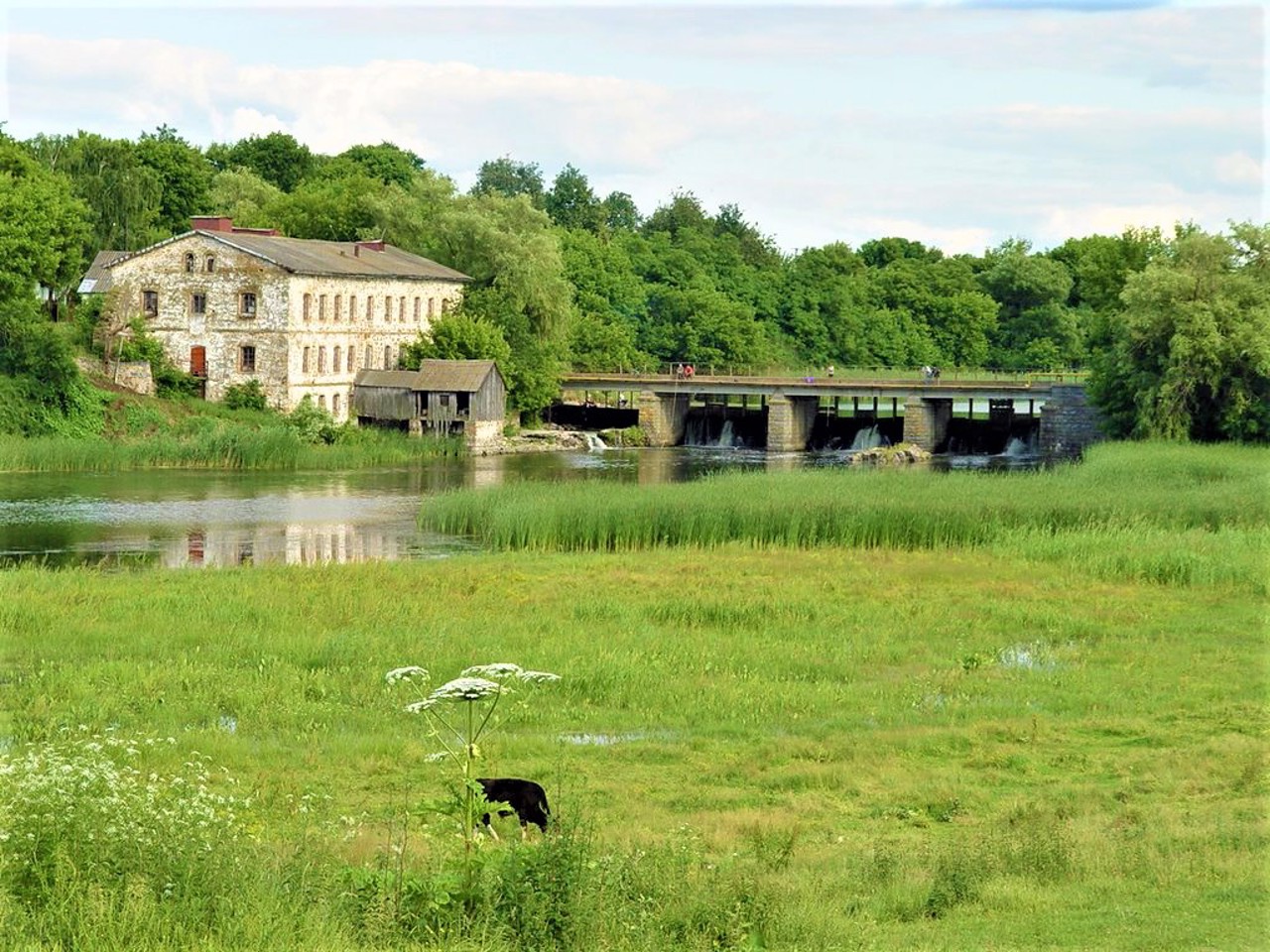 Село Паволоч