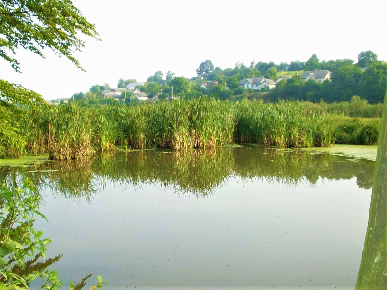 Lychkivtsi village