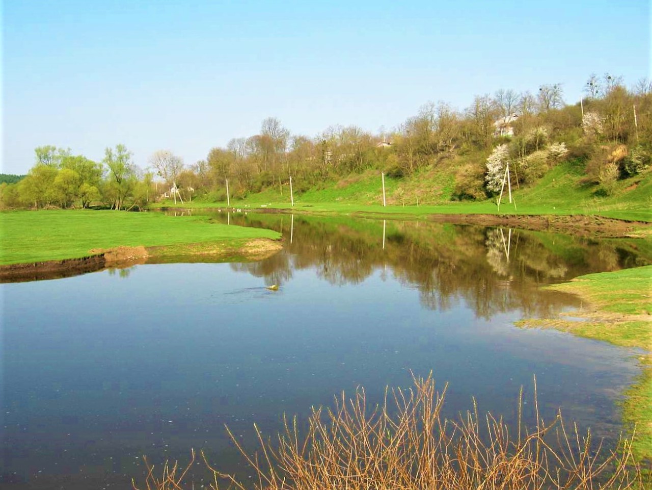 Село Личківці