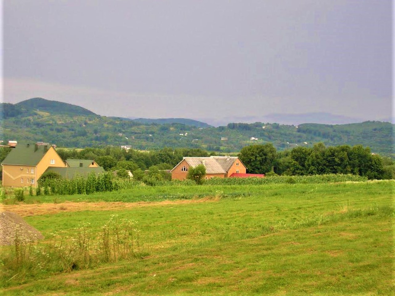 Zolotarovo village