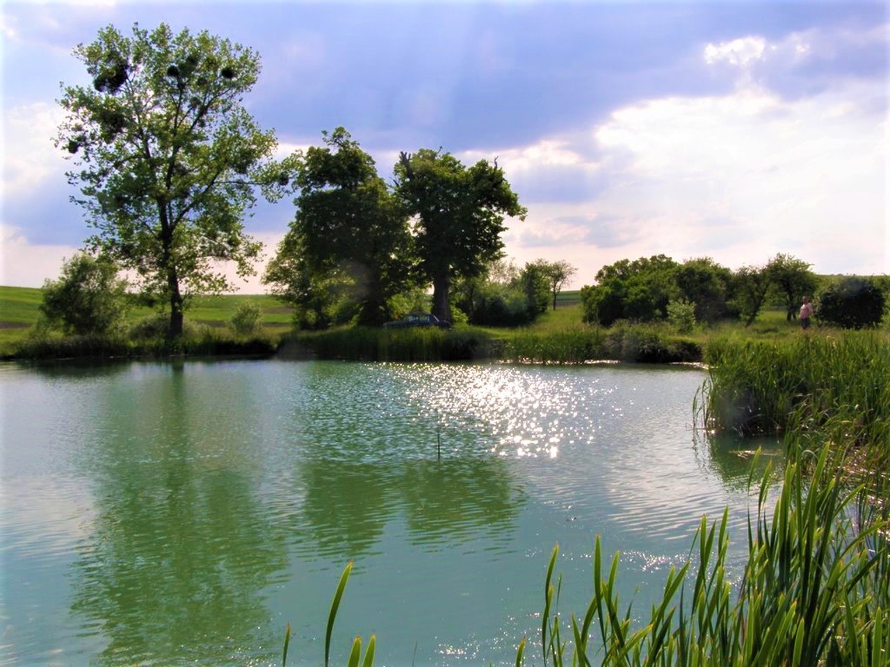 Novyi Myliatyn village