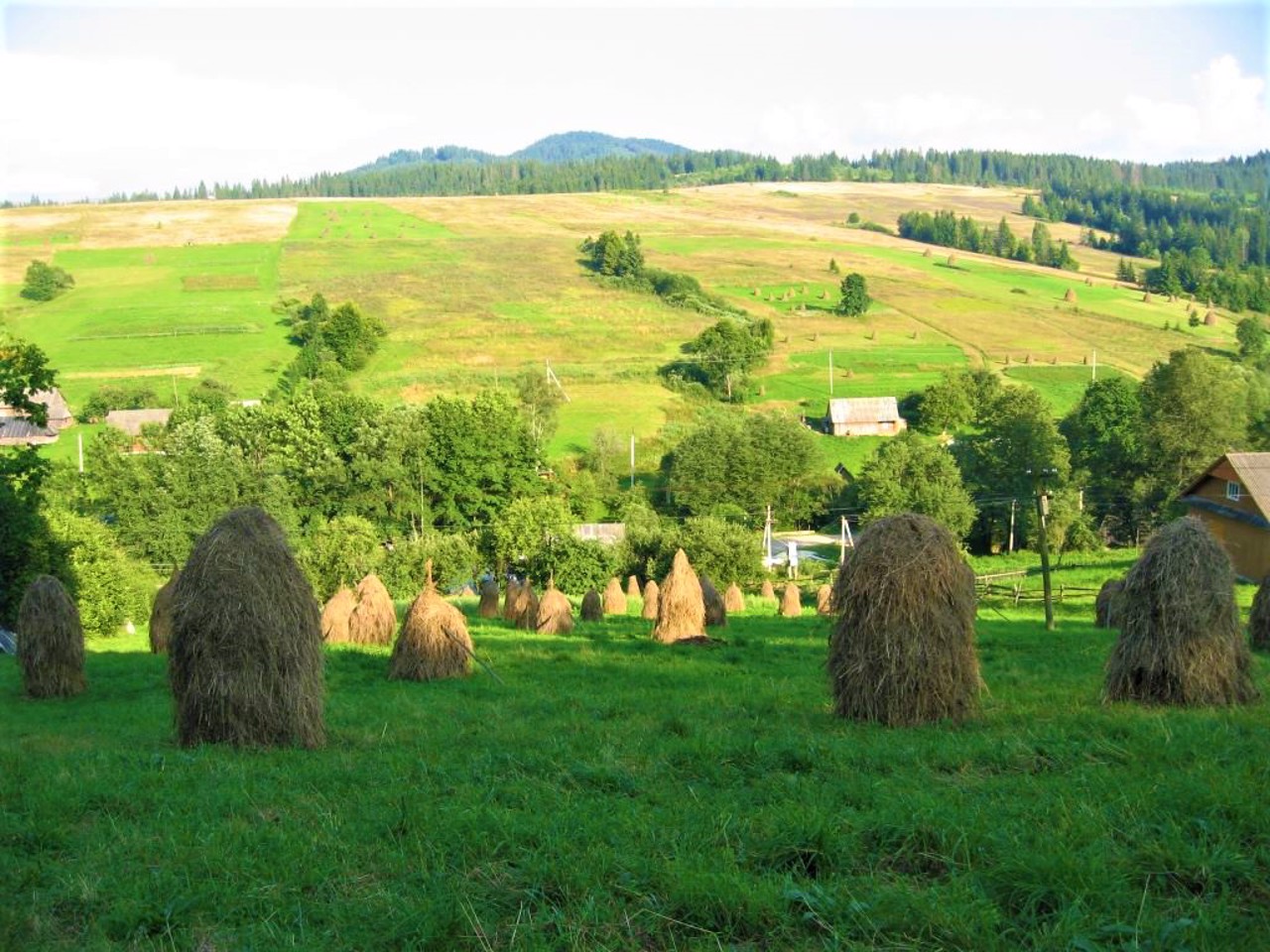 Село Хащованя