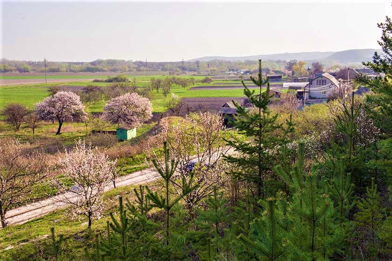 Село Кривая Лука